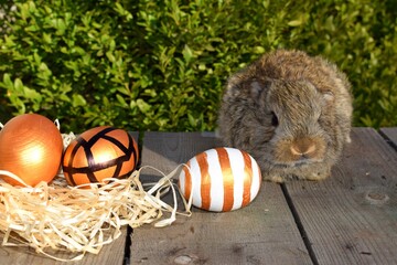 Rahom rabbit with Easter eggs on the background of green bushes