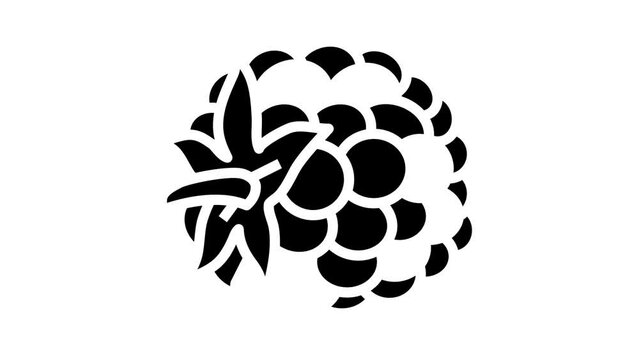 blackberry berry leaf glyph icon animation