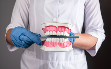 Teeth occlusion concept. Odontology, orthodontics care