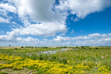 Fototapeta premium Marker Wadden