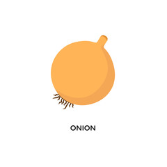 onion icon flat illustration