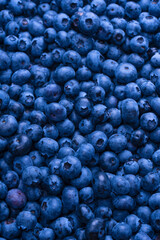 Fresh blueberry background. Texture blueberry berries close up.