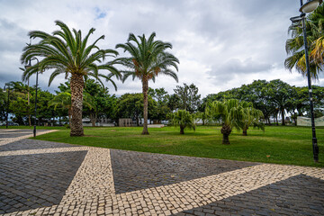 Obraz premium A variety of colorful flora on the island of Madeira.