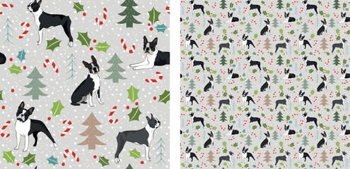 Seamless dog pattern, winter Happy Christmas texture.Square format, t-shirt, poster, packaging, textile, socks, textile, fabric, decoration, wrapping paper.Trendy hand-drawn  Boston Terrier dog breed.