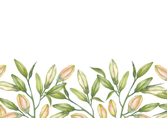 Pink Stargazer Lilies. Lily buds. Greeting card template. Watercolor illustration