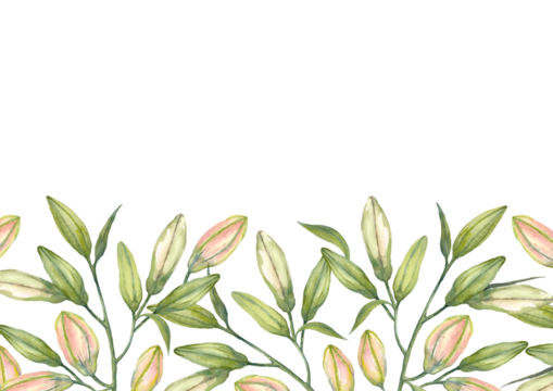 Pink Stargazer Lilies. Lily buds. Greeting card template. Watercolor illustration