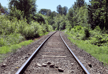 Fototapeta premium Rail tracks surrounded by green trees