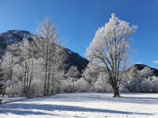 Wonderful snow covered landscape in austria, lower austria, lake lunz.