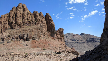 Fototapeta premium Silver Desert