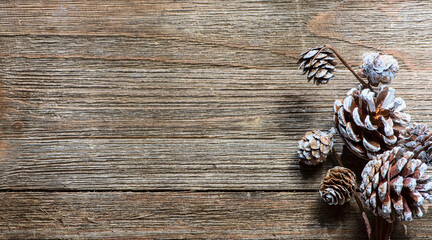 Wooden Plank with Frosted Pine Cones