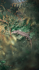 common lizard on a green plant