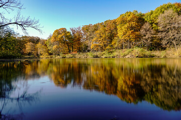A group of trees in fall reflecting on a pond