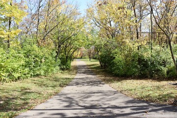 The empty pathway in the park on a sunny day.