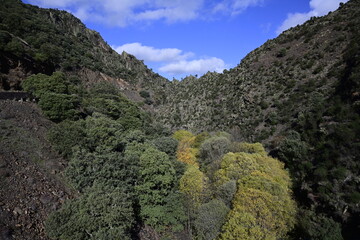 Sierra del Rincón , Madrid
