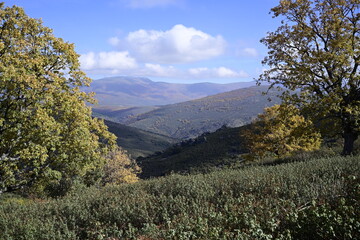Sierra del Rincón , Madrid