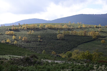 Fototapeta na wymiar Sierra del Rincón , Madrid