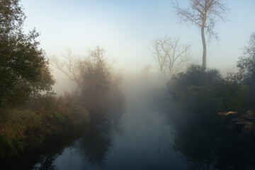 A creek at sunrise on a foggy morning