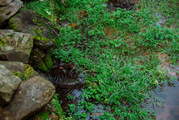 Part of the decoration of the facade of the building and the material from which it is built; 
natural landscape formed by a spring
