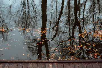 Part of the decoration of the facade of the building and the material from which it is built; 
a forest lake, on the surface of which leaves lie and autumn trees are depicted; at the bottom of the ph
