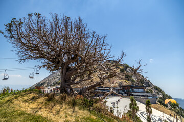 Paragliders take-off from mount Babadag, Oludeniz, Turkey