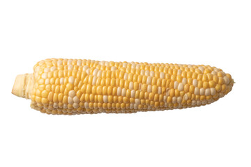Yellow corn isolated on white background. Copyspace.