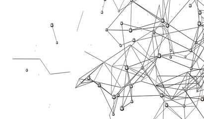 network