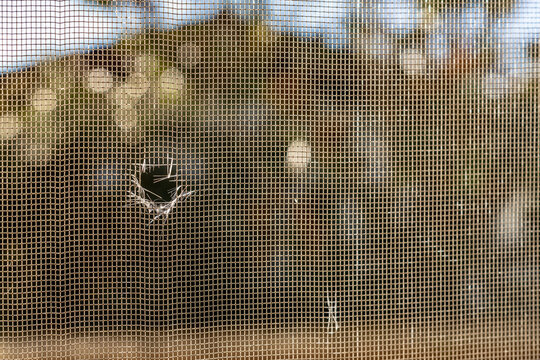 Close up image of torn window screen. Anti mosquito net damaged by birds. Protection against annoying insects. Repair needed