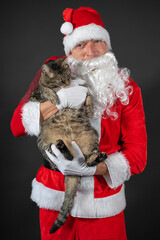 
Portrait von einem verkleideten Weihnachtsmann mit einer Katze auf dem Arm vor grauen Hintergrund mit Platzhalter