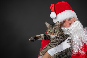 
Portrait von einem verkleideten Weihnachtsmann mit einer Katze auf dem Arm vor grauen Hintergrund mit Platzhalter
