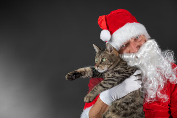 
Portrait von einem verkleideten Weihnachtsmann mit einer Katze auf dem Arm vor grauen Hintergrund mit Platzhalter
