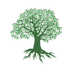 beautiful oak tree, logo