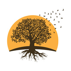 beautiful oak tree, logo