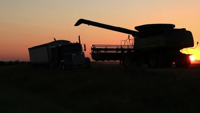 Wheat Harvest at Sunset