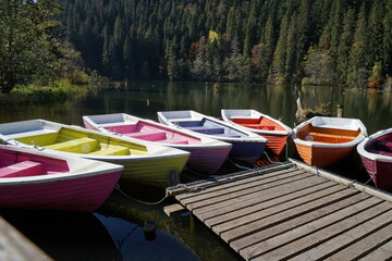 Colored wooden boats tied to a pier on a lake surrounded by forest