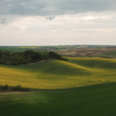 Drone shot landscape Moravian Tuscany field curves