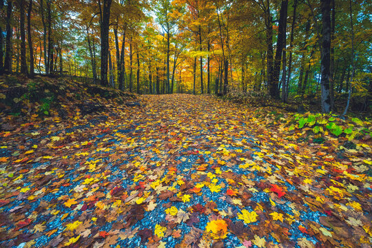 Sharbot Lake Provincial Park, Ontario Canada