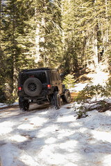  off-road car in the forest. © Mila