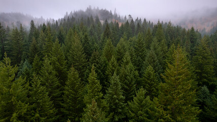 Near Hood River in the Columbia Gorge, Oregon.
