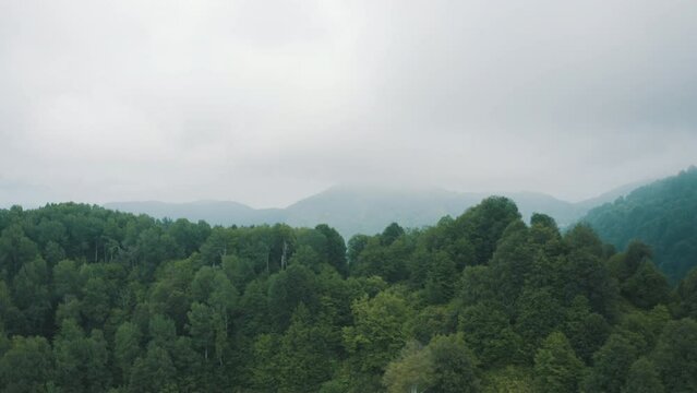 Aerial view of Forest in Zonguldak. 4K Footage in Turkey