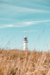 white lighthouse on the coast in England with wheat foreground 
