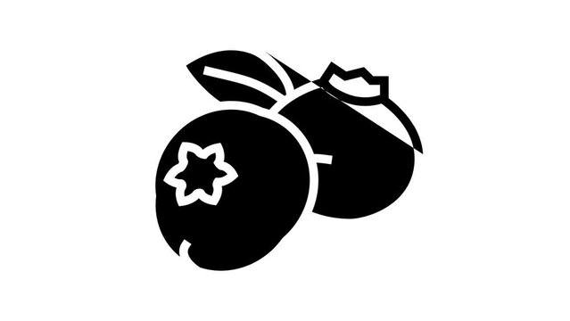 delicious blueberry leaf line icon animation