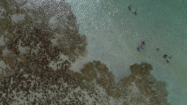 top view of tourists in natural pools formed by reefs in Porto de Galinhas