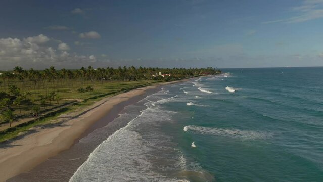 aerial view of waves on the beach and coconut trees in Porto de Galinhas