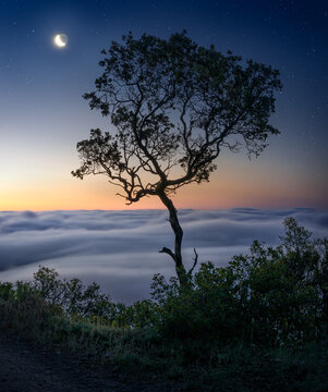 Marin County, California.
