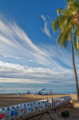 Fototapeta na wymiar Beach with Palm Trees, Surfboards, and Sea.