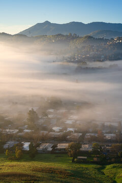 A delightful foggy sunrise in Terra Linda, a neighborhood of San Rafael, Marin County, California.