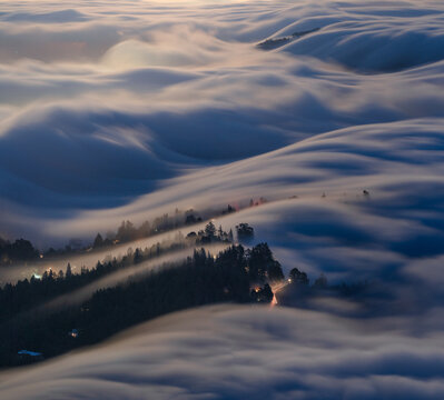 Beautiful flowing fog on Mt. Tamalpais, California. 