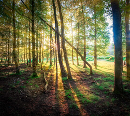 Obraz premium Passing