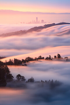 Morning fog flows on Mt. Tamalpais, California.
