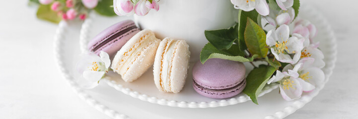 Obraz na płótnie Canvas Beautiful composition with delicious French macarons and spring flowers in a white cup. Sweet dessert, early spring white and pink flowers, wedding decor, bride morning. Banner